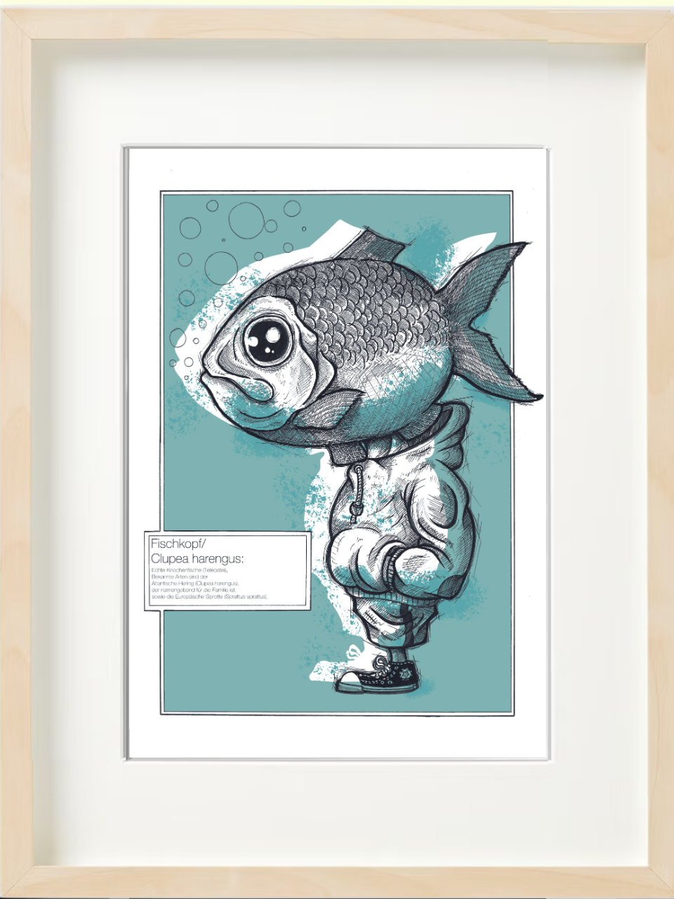 Fischkopp Typ Hering