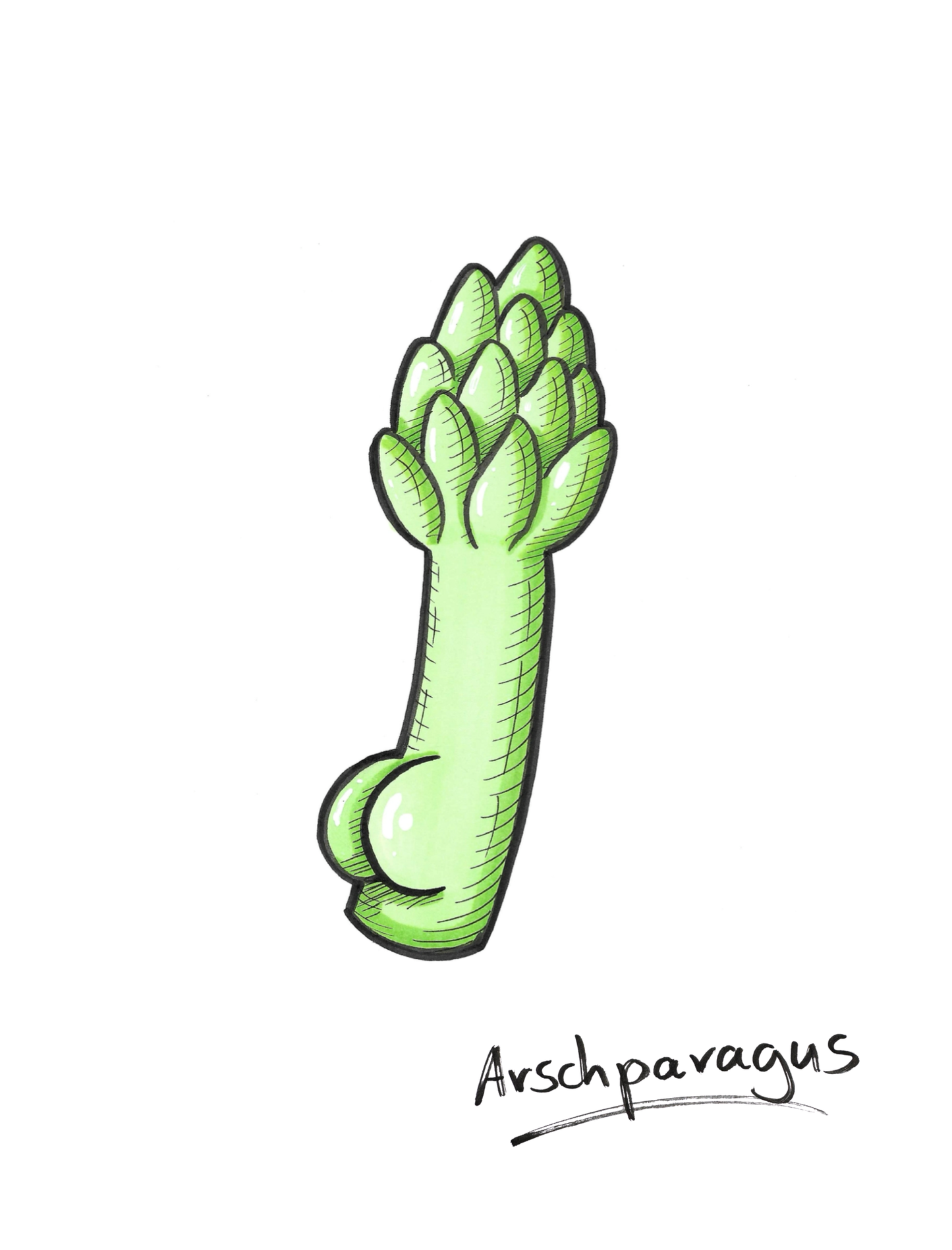 Arschparagus
