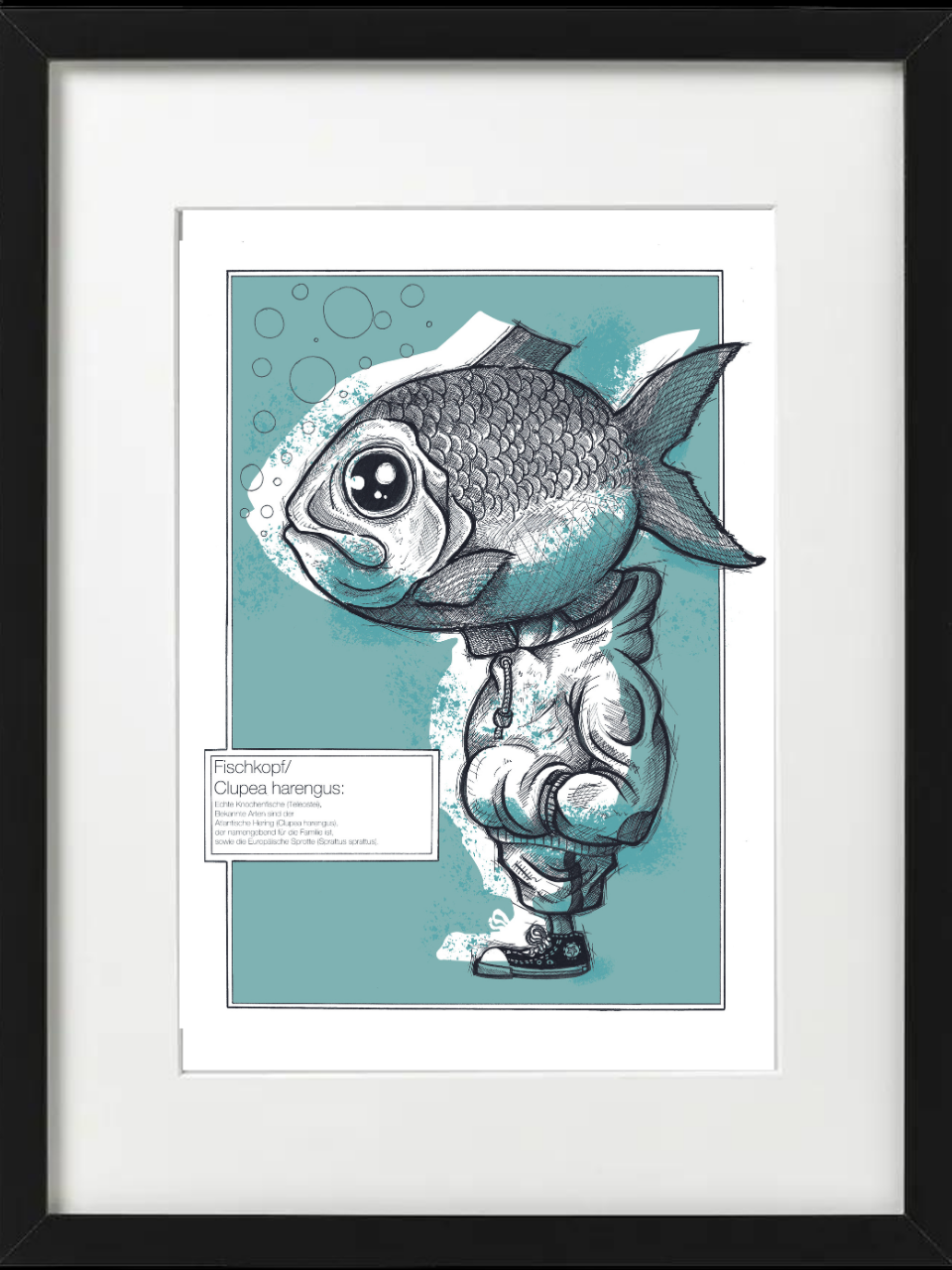 Fischkopp Typ Hering