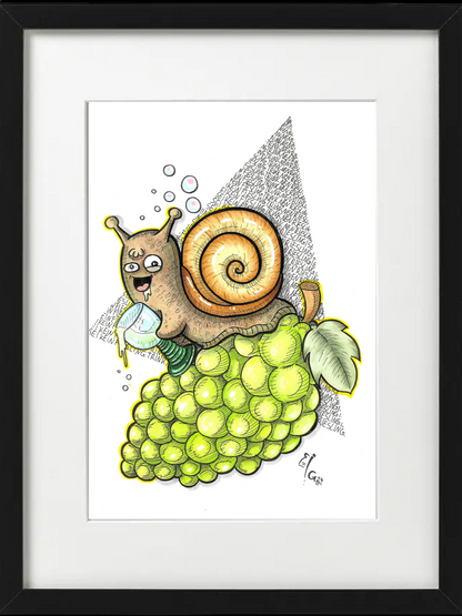 Weißweinbergschnecke