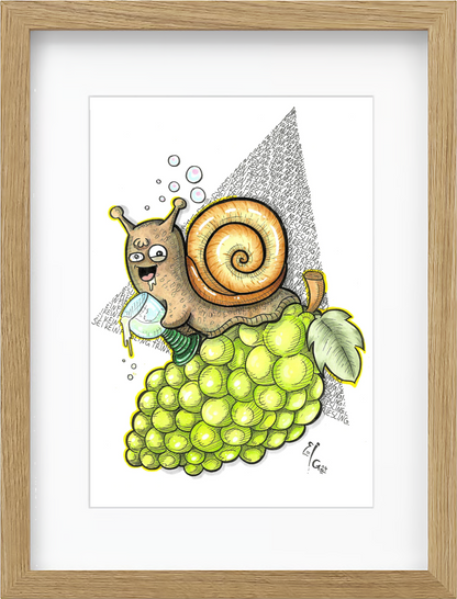 Weißweinbergschnecke