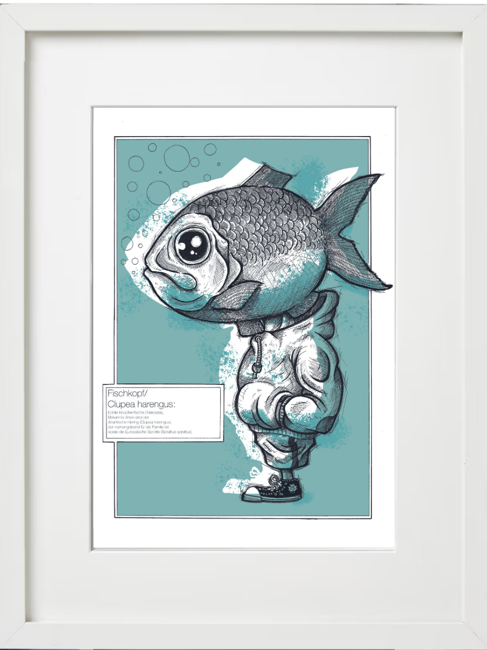 Fischkopp Typ Hering