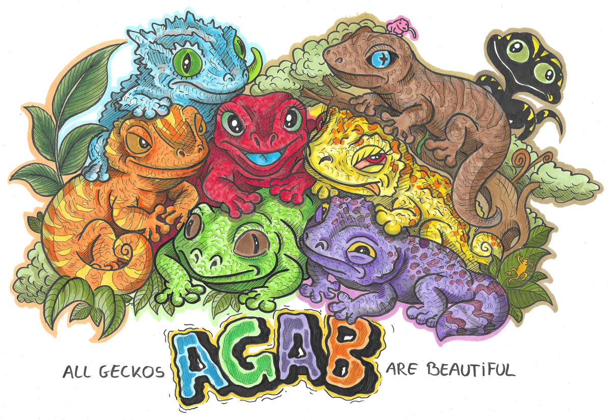 ALL GECKOS ARE BEAUTIFUL